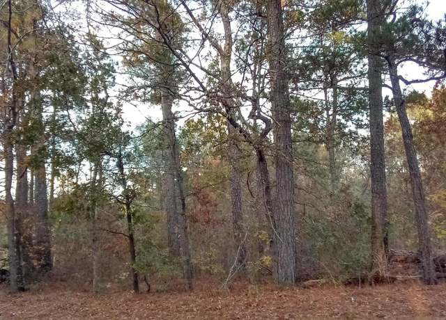 Property at Lot #1 Stelleys Tabernacle Church Rd, Rockingham, NC 28379