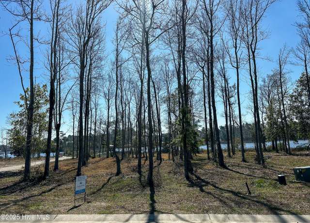 Property at 45 Crown Pointe Dr, Hampstead, NC 28443