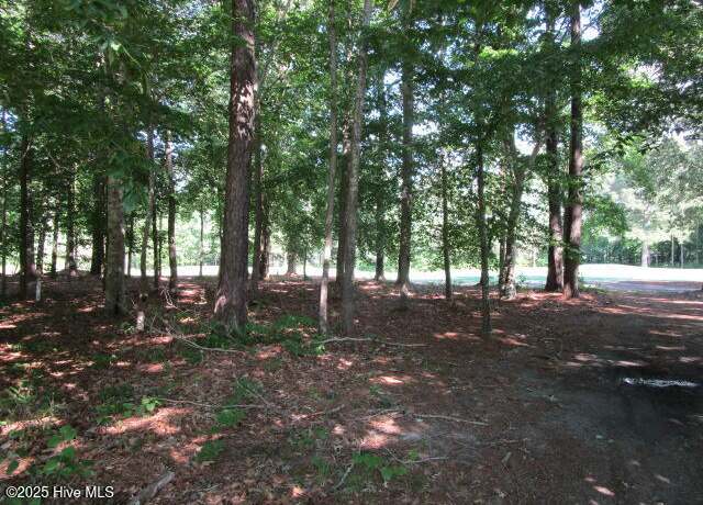 Property at Lot 1 Roanoke Dr, Hertford, NC 27944