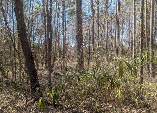 Property at 0 Mourning Dove Dr, Sanford, NC 27332