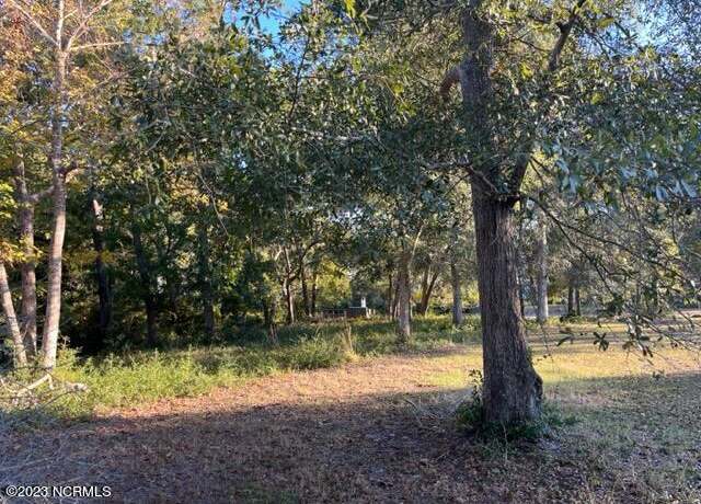 Property at 1820 Heron Watch Dr SW, Supply, NC 28462