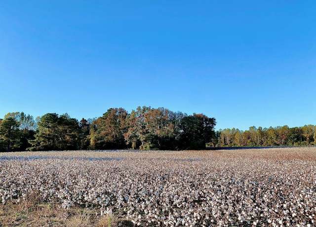 Property at 221 Yellow Hammer Rd, Tyner, NC 27980