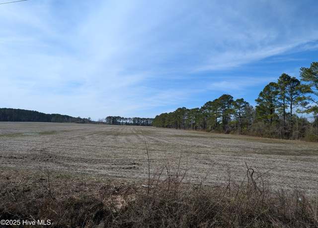 Property at 522 Plum Nearly Ln, Trenton, NC 28585