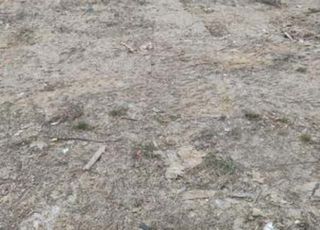 Property at 832 Us 13, Windsor, NC 27983