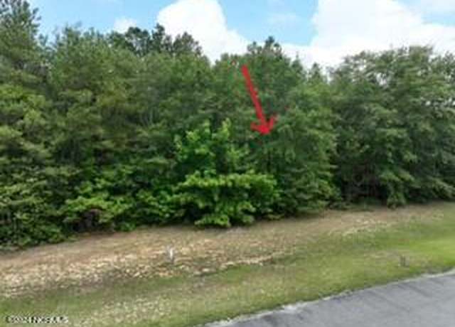 Property at 173 Deer Pointe Dr, Snow Hill, NC 28580