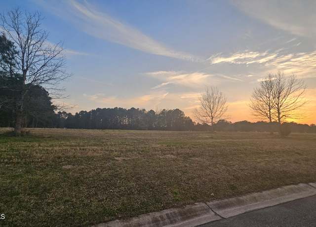Property at 178 Sycamore Lakes Dr, Wallace, NC 28466