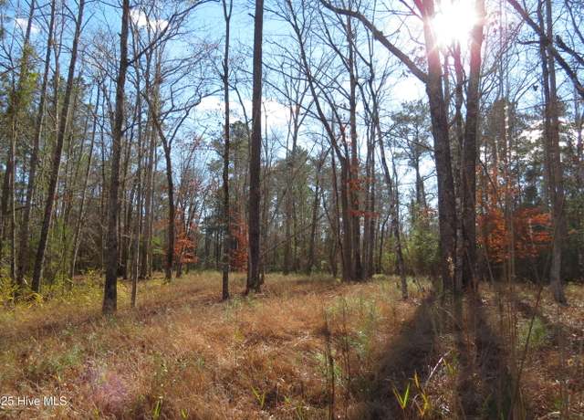 Property at 109 Winding Creek Dr, Oriental, NC 28571