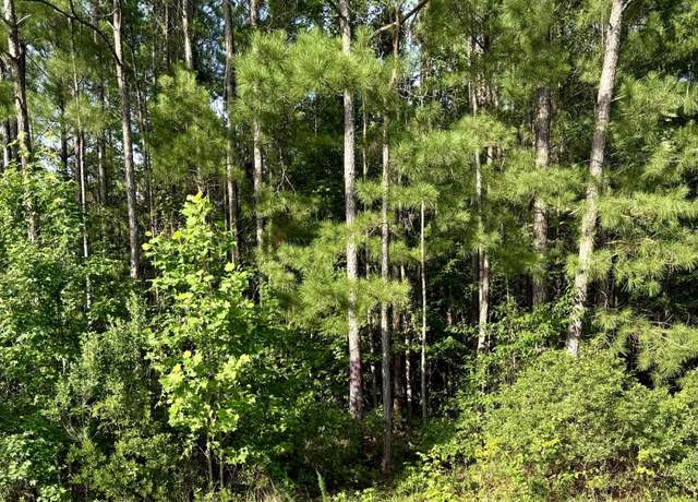 Property at 111 Marie Ct, Havelock, NC 28532