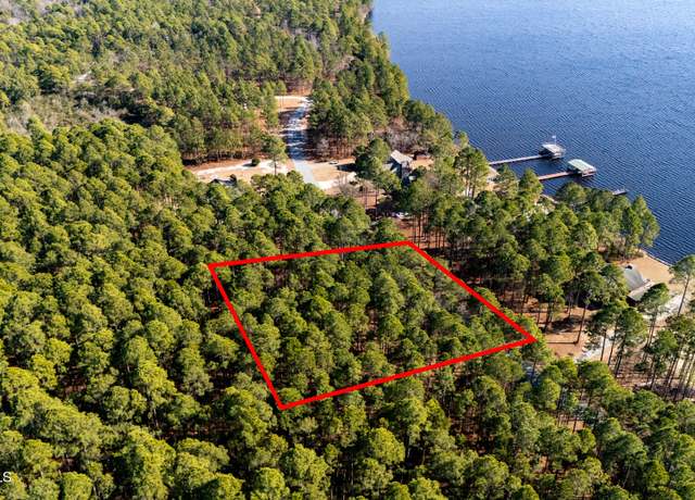 Property at 0 N Horsepen Dr, Harrells, NC 28444