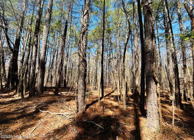 Property at 53 Hunt Club Trl, Hertford, NC 27944