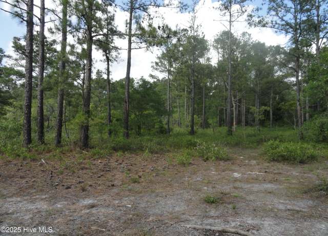 Property at 1 River Trail Lot 1, Burgaw, NC 28425