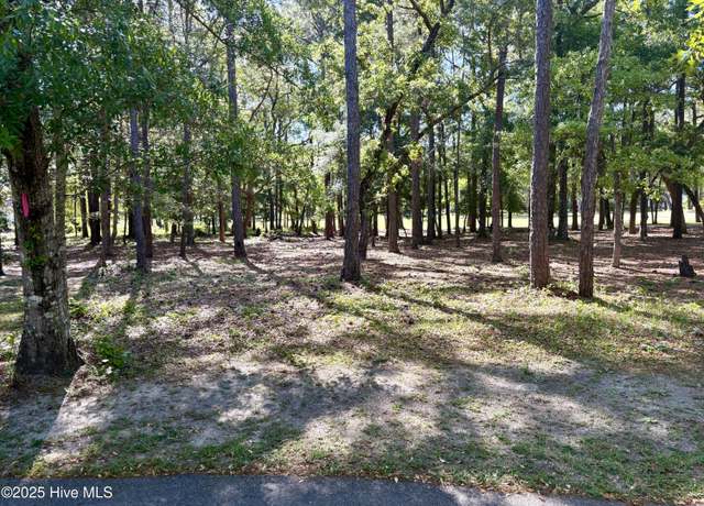 Property at 186 Egret Ct SW, Supply, NC 28462