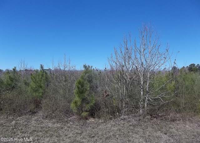 Property at Lot #2 Boat Ramp Rd, New Hope, NC 27944