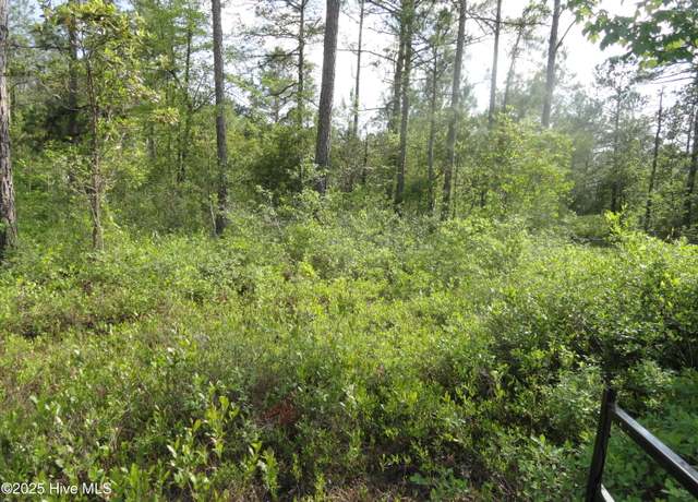 Property at 2 River Trl, Burgaw, NC 28425