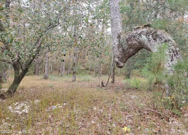 Property at Lot 98 Waters Edge Dr, Chocowinity, NC 27817