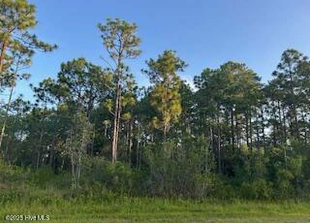 Property at L365 & 366 Drayton Rd, Boiling Spring Lakes, NC 28461