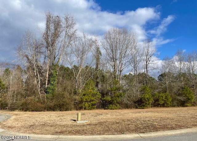 Property at 2599 Belmont Lake Dr, Rocky Mount, NC 27804