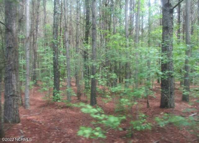 Property at 0 Old Mintz Hwy, Garland, NC 28441