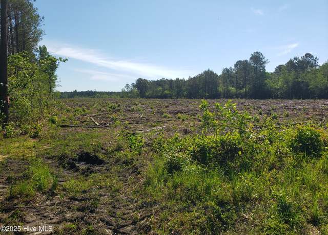 Property at 23.95ac Loop Rd, Bolton, NC 28423