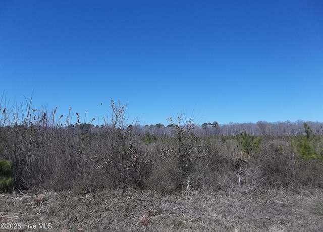Property at Lot# 4 Boat Ramp Rd, New Hope, NC 27944