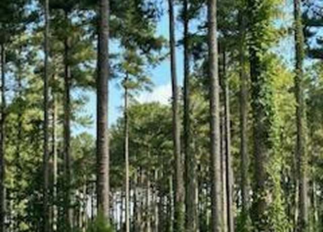 Property at 96 278 Dawson Creek Blvd, Oriental, NC 28571
