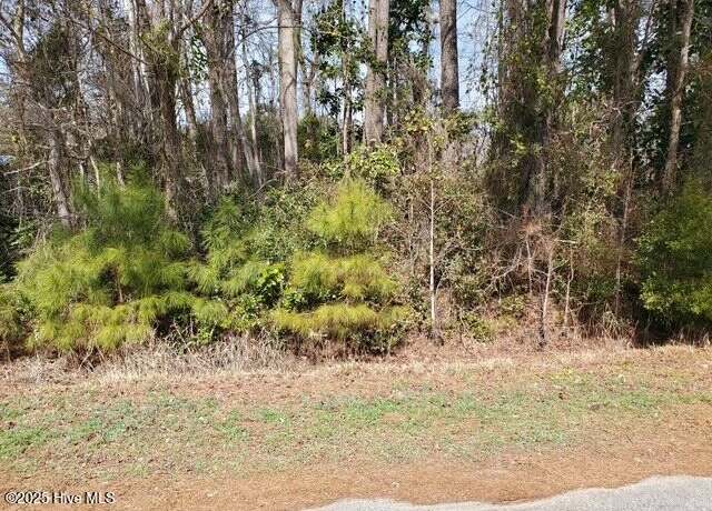 Property at 652 Gervais St SE, Bolivia, NC 28422
