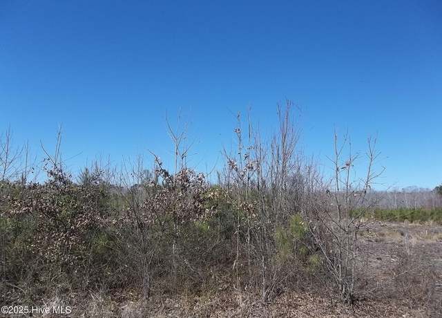 Property at Lot# 6 Boat Ramp Rd, New Hope, NC 27944