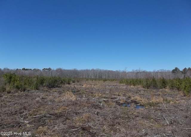 Property at Lot#1 Risd Boat Ramp Rd, New Hope, NC 27944