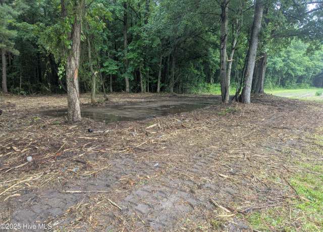 Property at 0 Nc Hwy111, Pinetops, NC 27864