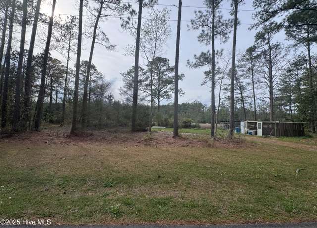 Property at 0 Pine Tree Ln, Mesic, NC 28515