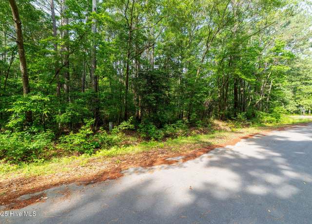 Property at 000 Farmingdale Dr, Pikeville, NC 27863