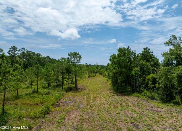 Property at Tbd Nc Hwy 17, Holly Ridge, NC 28445