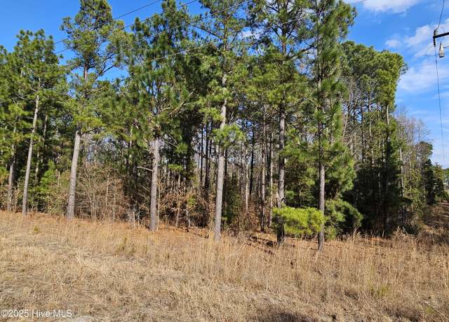 Property at 3675 Niagara Carthage Rd, Carthage, NC 28327