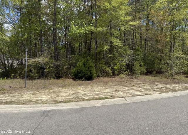 Property at 763 Pantego Blvd SE, Bolivia, NC 28422