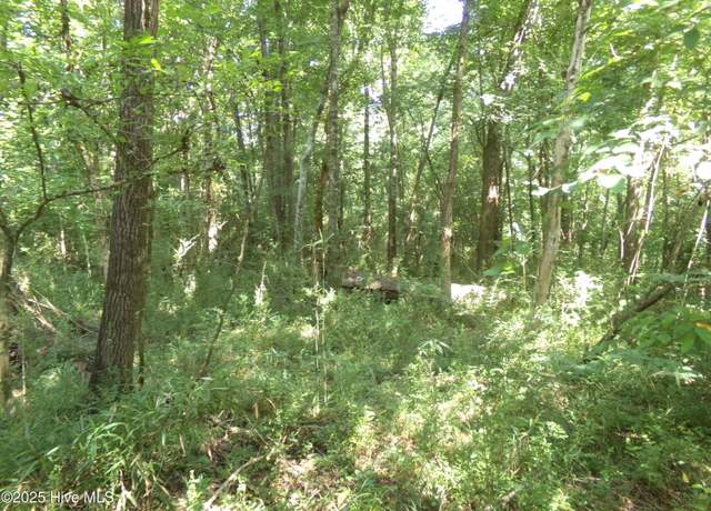 Property at Off River Rd, White Oak, NC 28399