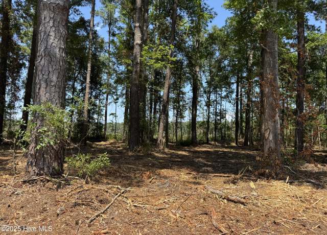 Property at 4102-001 Near 4102 Swamp Fox Lot 6, Tabor City, NC 28463