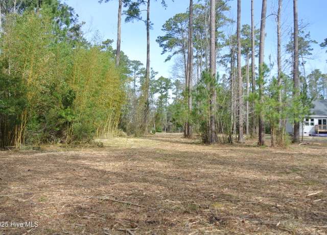 Property at 252 Jonaquins Dr, Beaufort, NC 28516