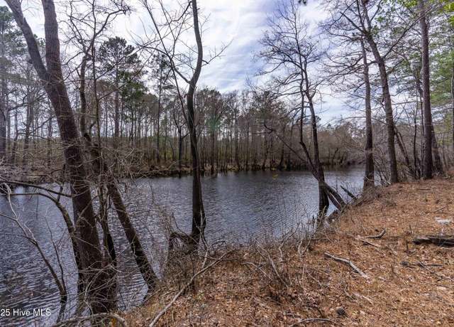 Property at Tr 7d Shaw Hwy, Burgaw, NC 28425