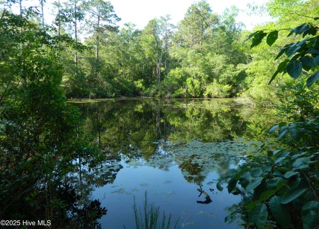 Property at 178 Laurel Oak Ln, Pinebluff, NC 28373