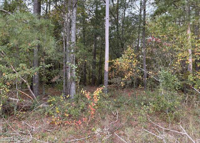 Property at Tract 1 Matilda Dr, Lumberton, NC 28360