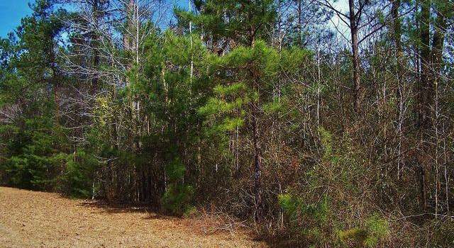 Photo of Lot 108 Tbd Blewett Falls Rd, Rockingham, NC 28379