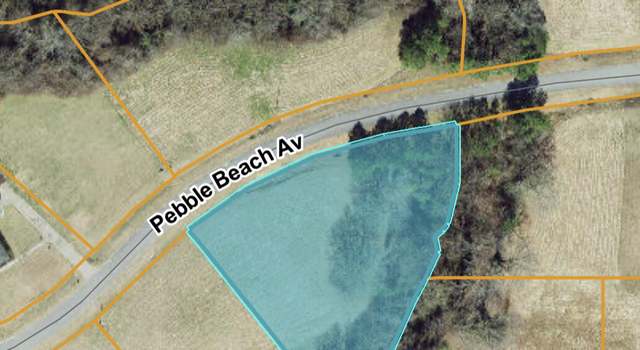 Photo of 108 Pebble Beach Ave, Mount Olive, NC 28365