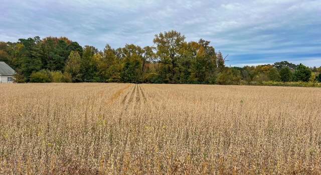 Photo of 112 Yellow Hammer Rd, Tyner, NC 27980