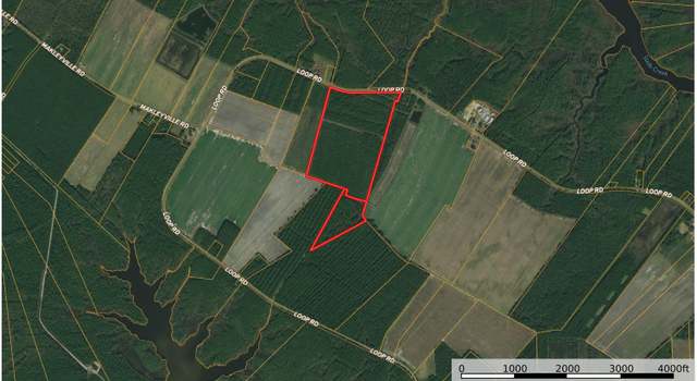 Photo of 0 0 Loop Rd Road 0, NC 27875