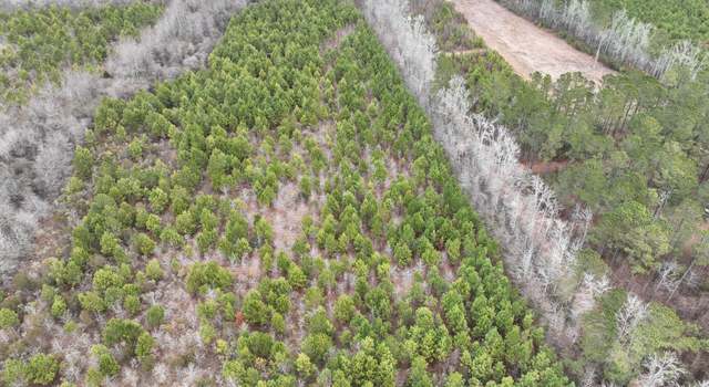 Photo of 0 Creek Rd, Jamesville, NC 27846