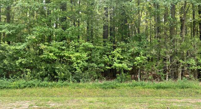 Photo of Lot 19 Hill's Pt, Blounts Creek, NC 27814