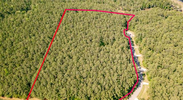 Photo of 193 & 349 Headwaters Dr, Oriental, NC 28571