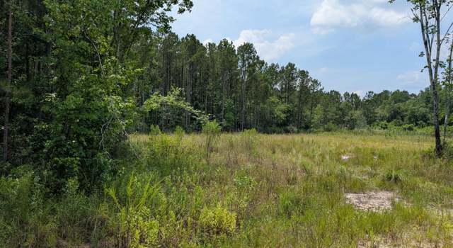 Photo of 000 Nine Mile Rd, Maple Hill, NC 28454