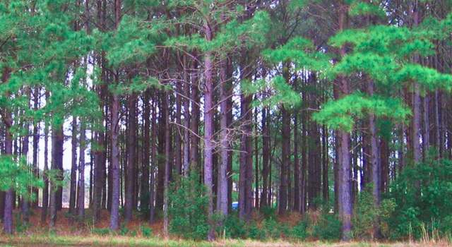 Photo of 394 Autumn Pheasant Loop NW, Calabash, NC 28467