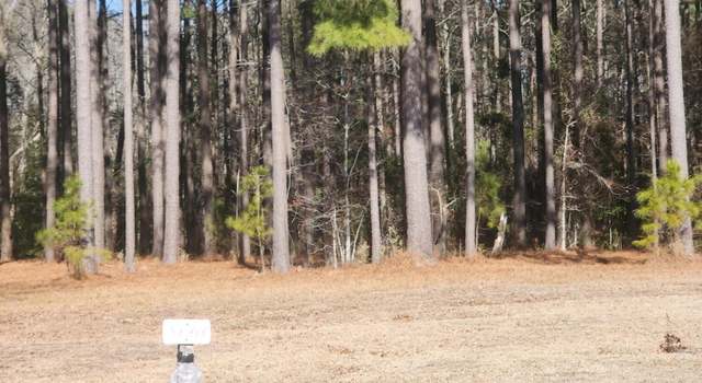Photo of 64 W Burton Farm Dr, Minnesott Beach, NC 28510
